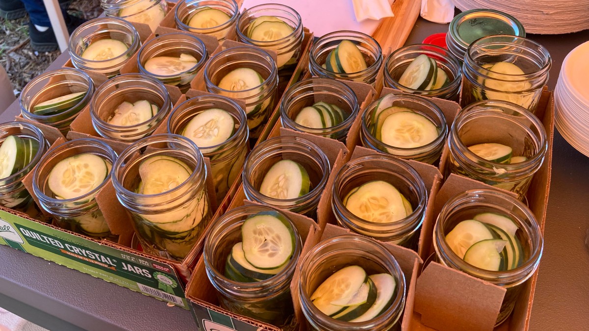 Open canning jars of fresh cucumbers are set out for the pickling demo.
