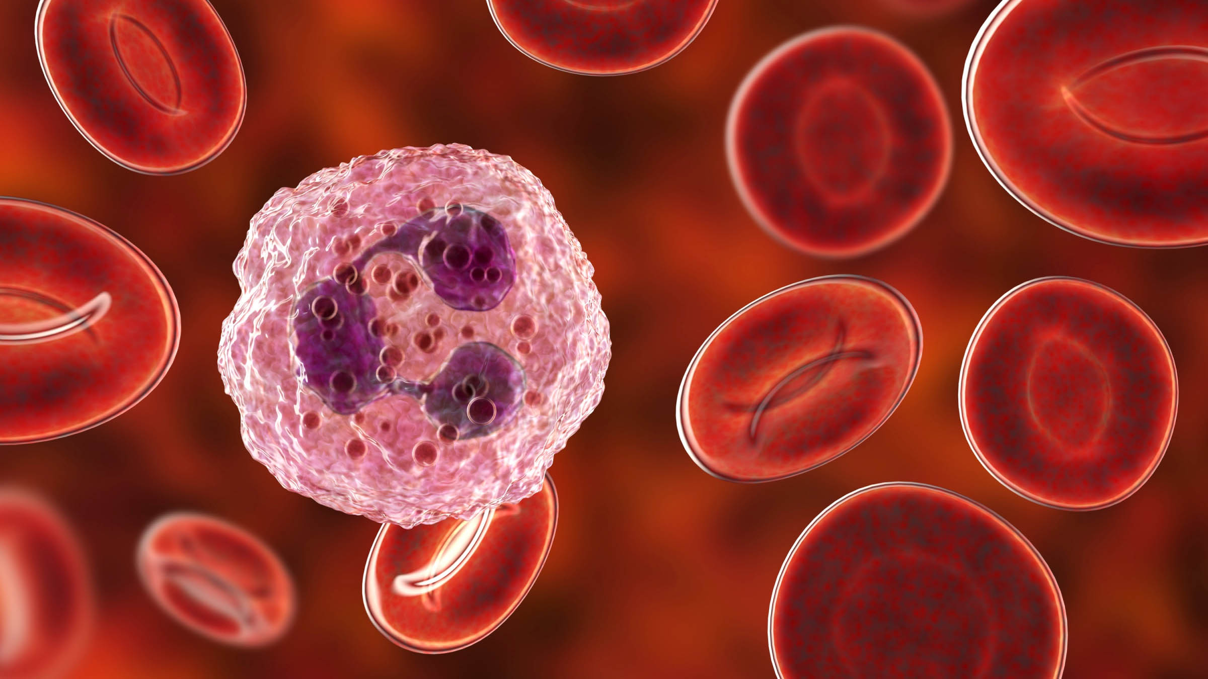 Illustration of Red Blood Cells