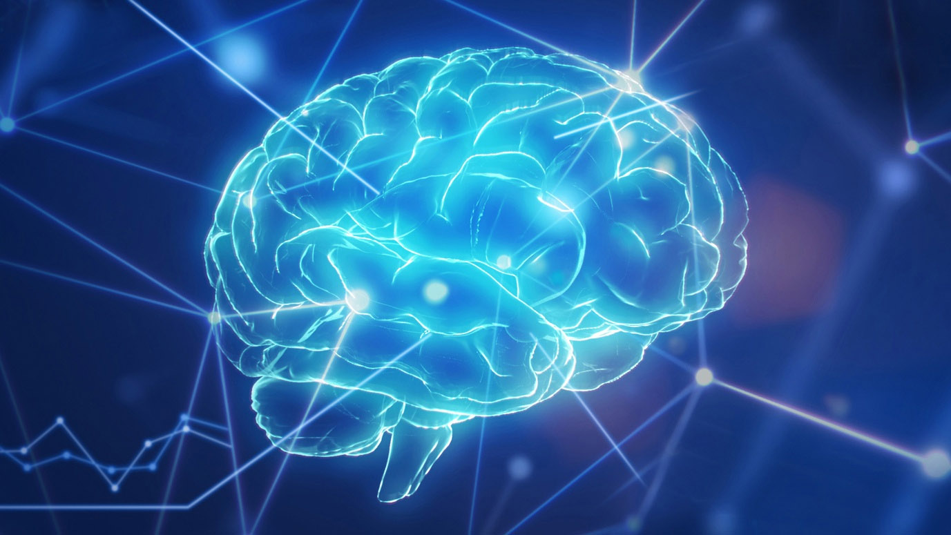 A graphic of a brain in blue tones on a dark blue background.