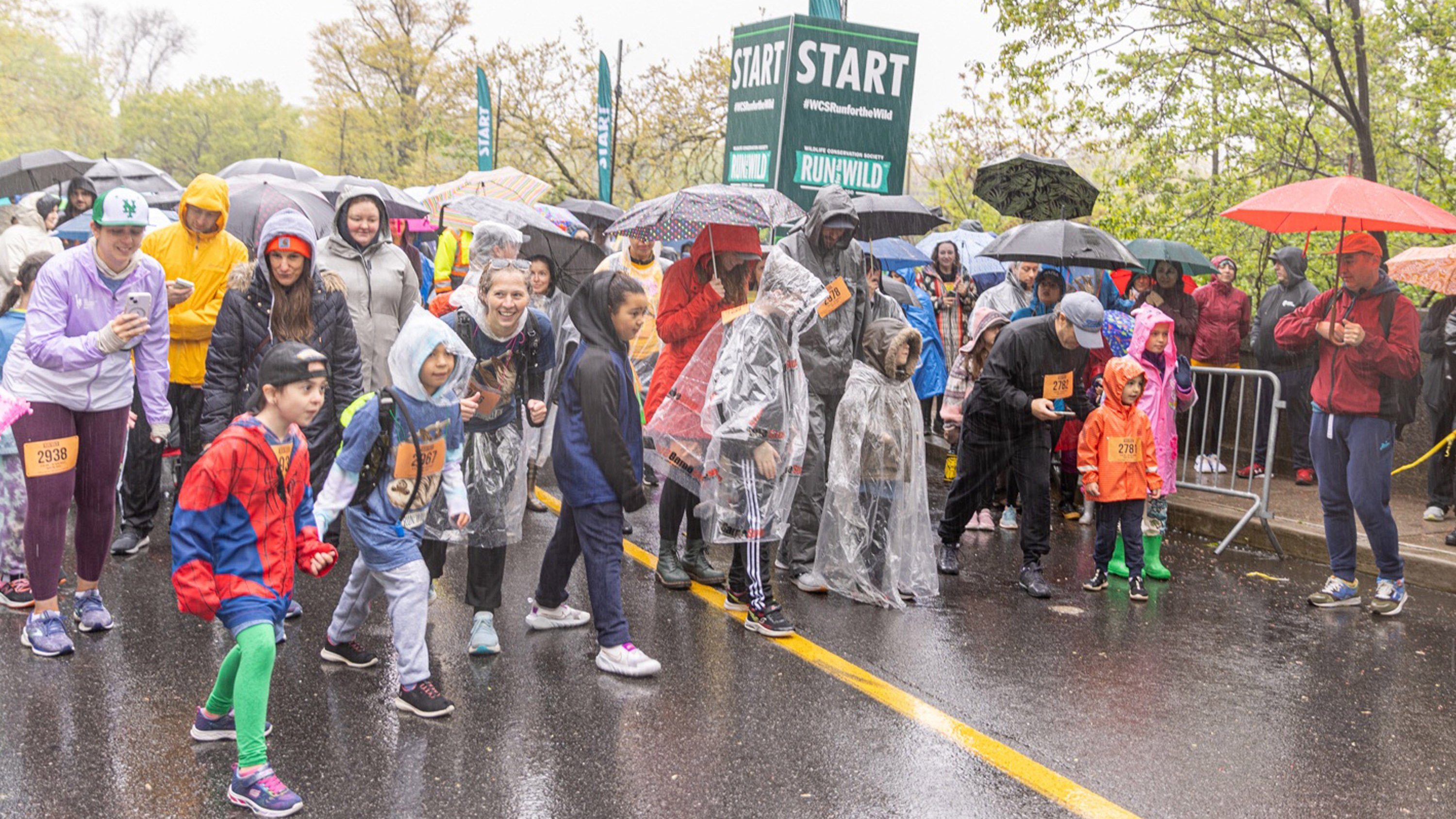 Runners ready for the rain line up for the Bronx Zoo's "Run for the Wild" event.