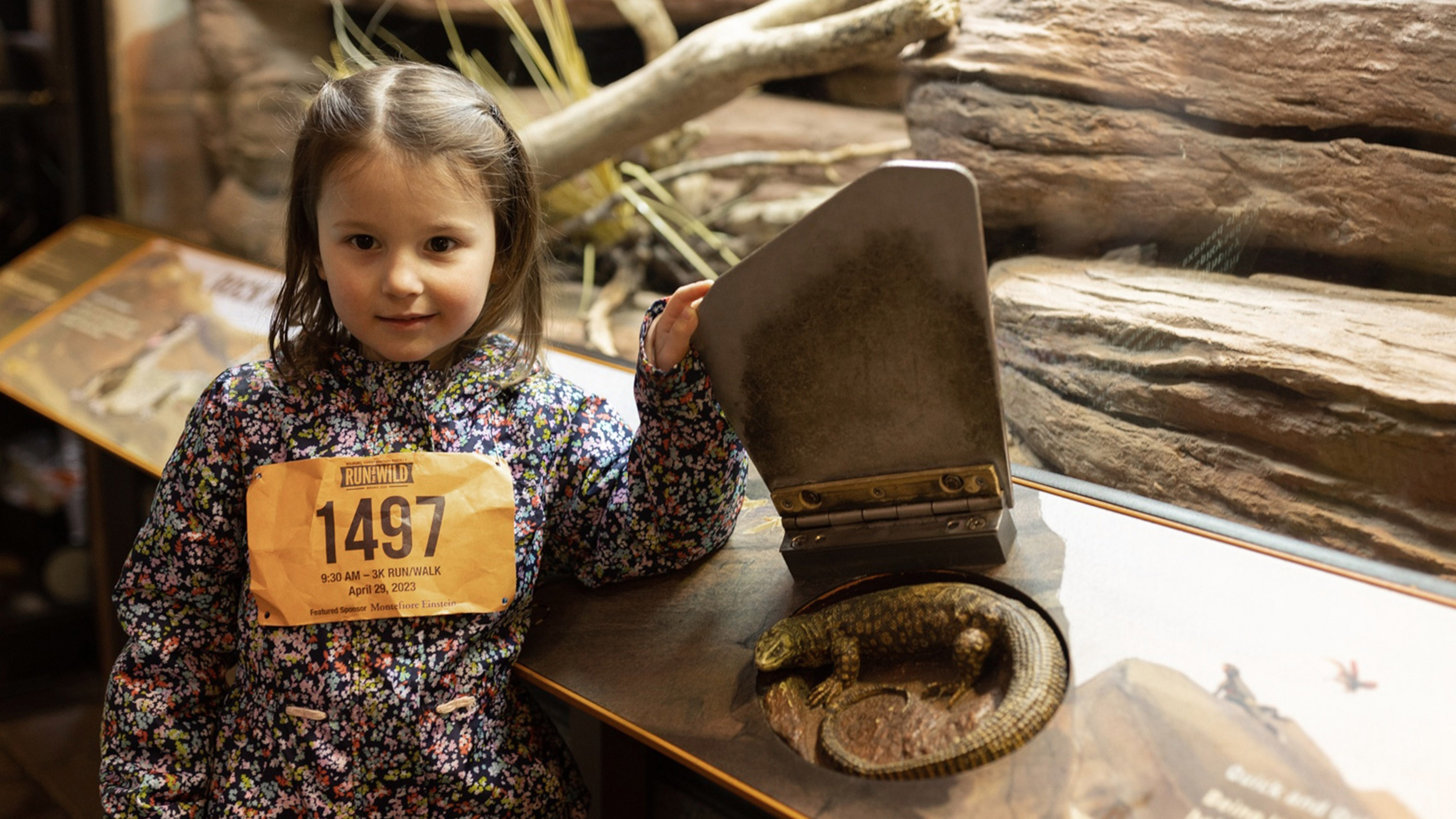 A young runner enjoys an exhibit at the zoo.