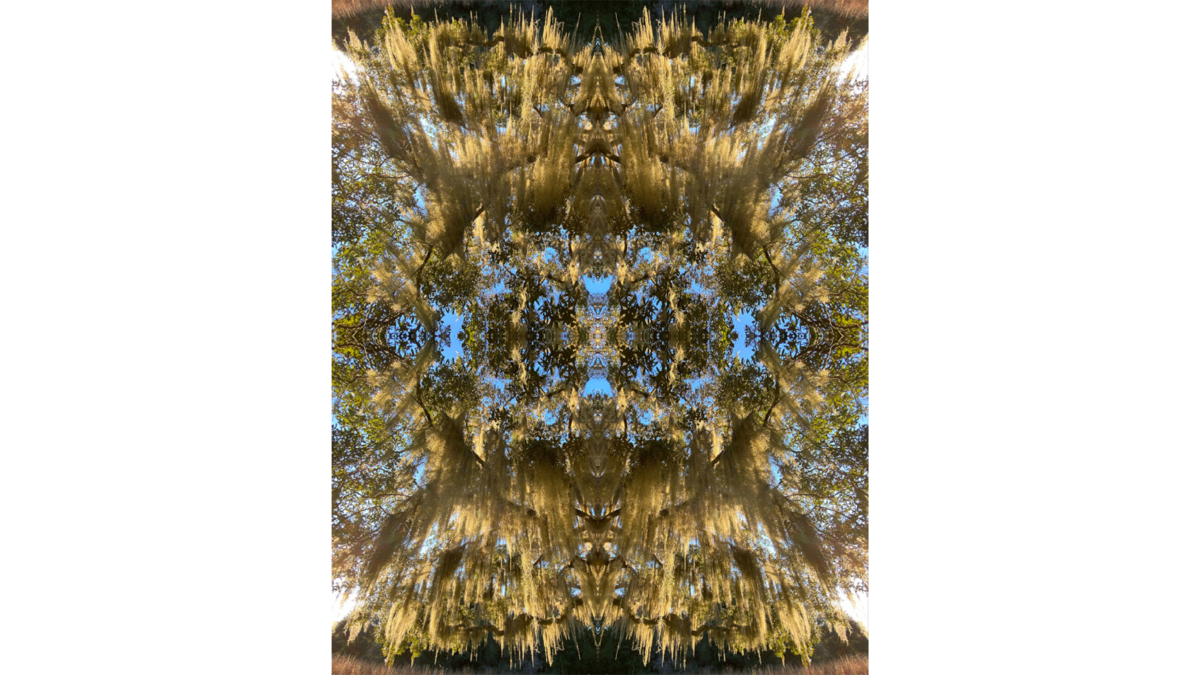 A kaleidoscopic image in golds and browns from the "Mosaic of Life" winter exhibit at The Queen City Art Gallery at Montefiore New Rochelle.