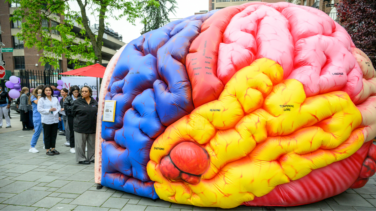 A large inflatable model of a brain is on display.  