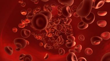 A rendering of red blood cells.