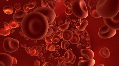 A rendering of red blood cells.