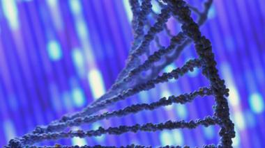 a part of a DNA helix on a blue background.