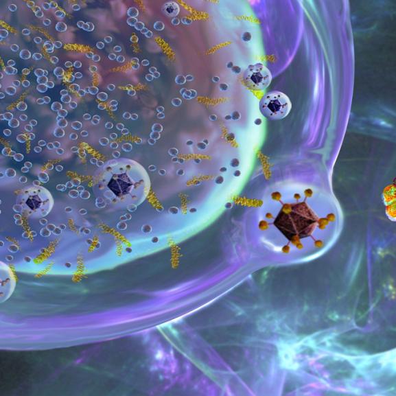 Car-T Cells Effective