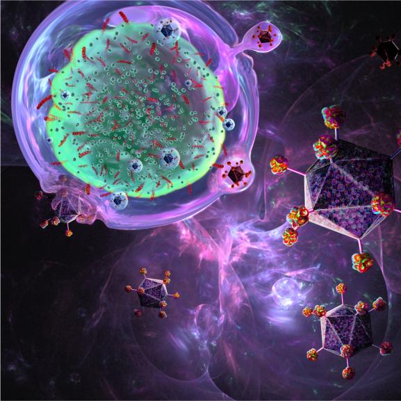 A rendering of cells interacting done in purple and green tones.